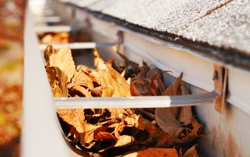 Daisy Green gutter cleaning companies