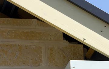 soffit repair Daisy Green