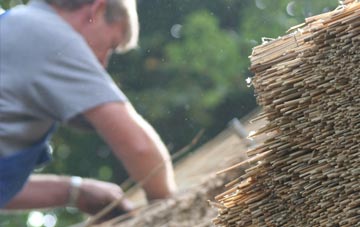 professional Daisy Green thatchers