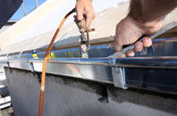 free Daisy Green fascia quotes